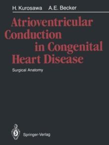 Atrioventricular Conduction in Congenital Heart Disease : Surgical Anatomy