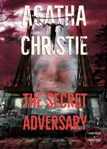 The Secret Adversary