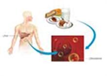 Estimation of Blood Cholesterol