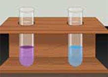 General Tests of Proteins and Precipitation Reactions