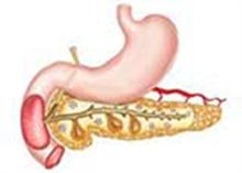 Pancreatic Function Test Part 2