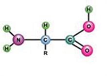 Tests for R group of Proteins and Determination of their Isoelectric pH