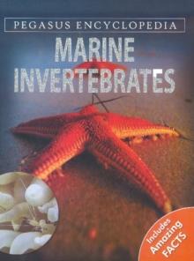 Marine Invertebrates