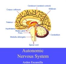 Autonomic Nervous System