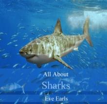 All About Sharks