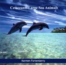 Cetaceans : Large Sea Animals