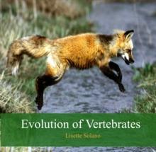 Evolution of Vertebrates