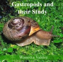 Gastropods and their Study