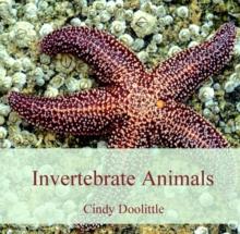 Invertebrate Animals