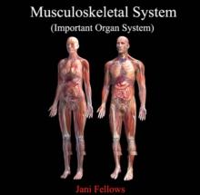 Musculoskeletal System (Important Organ System)