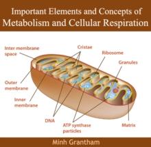 Important Elements and Concepts of Metabolism and Cellular Respiration