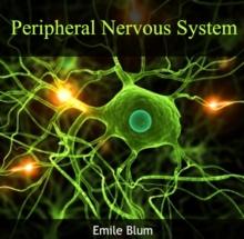 Peripheral Nervous System