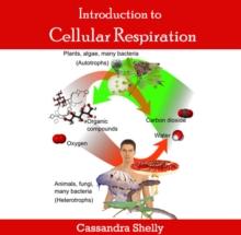 Introduction to Cellular Respiration