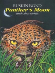 Panther's Moon and Other Stories