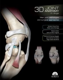 3D Joint anatomy in dogs