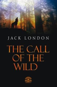 The Call Of The Wild