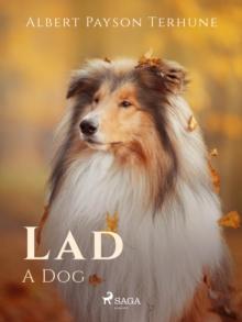 Lad: A Dog