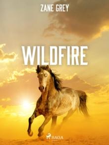 Wildfire