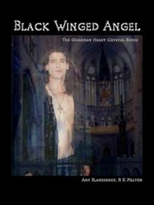 Black Winged Angel : The Guardian Heart Crystal Book 7