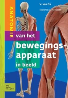 Anatomie Van Het Bewegingsapparaat in Beeld