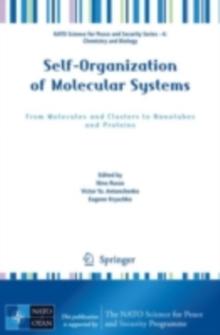 Self-Organization of Molecular Systems : From Molecules and Clusters to Nanotubes and Proteins