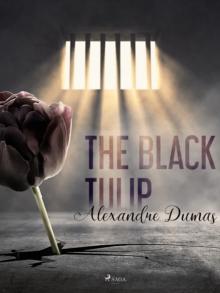 The Black Tulip