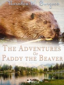 The Adventures of Paddy the Beaver