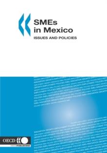 SMEs in Mexico Issues and Policies