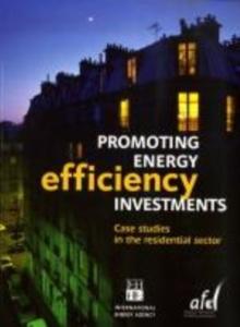 Promoting energy efficiency investments