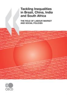 Tackling Inequalities in Brazil, China, India and South Africa The Role of Labour Market and Social Policies