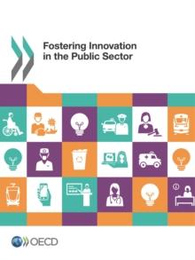 Fostering Innovation in the Public Sector