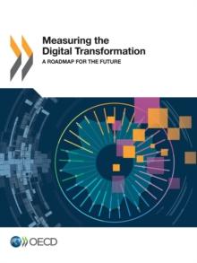 Measuring the Digital Transformation A Roadmap for the Future