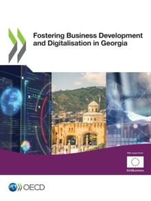 Fostering Business Development and Digitalisation in Georgia