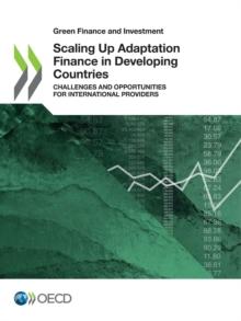 Green Finance and Investment Scaling Up Adaptation Finance in Developing Countries Challenges and Opportunities for International Providers