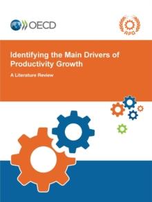 Identifying the Main Drivers of Productivity Growth A Literature Review