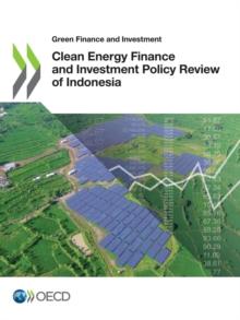 Green Finance and Investment Clean Energy Finance and Investment Policy Review of Indonesia