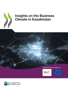 Insights on the Business Climate in Kazakhstan