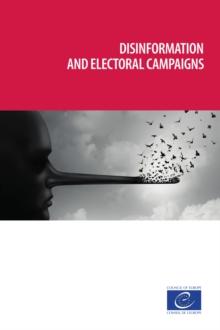 Disinformation and electoral campaigns