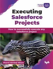 Executing Salesforce Projects : How to successfully execute any Salesforce project