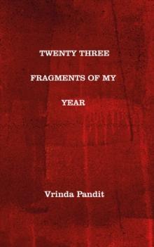 TWENTY THREE FRAGMENTS OF MY YEAR