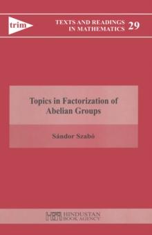 Topics in Factorization of Abelian Groups