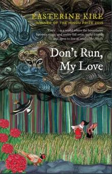 Don't Run, My Love