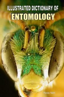 Illustrated Dictionary of Entomology