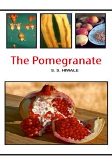 The Pomegranate