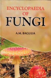 Encyclopaedia Of Fungi