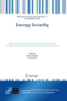 Energy Security : International and Local Issues, Theoretical Perspectives, and Critical Energy Infrastructures