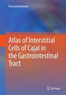 Atlas of Interstitial Cells of Cajal in the Gastrointestinal Tract