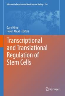 Transcriptional and Translational Regulation of Stem Cells