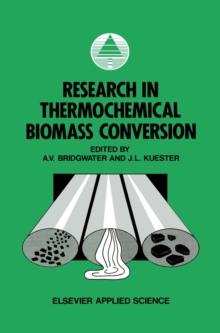 Research in Thermochemical Biomass Conversion