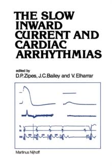 The Slow Inward Current and Cardiac Arrhythmias